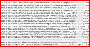 Screenshot of CMP dashboard showing CSV export data with user consent records, IP addresses, and tracking preferences demonstrating data collection scope.
